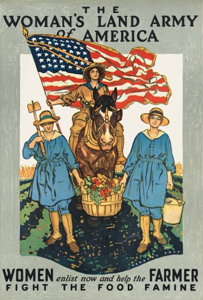 The woman's land army of America. Women enlist now and help the farmer fight the food famine  by Herbert Paus - Hand-Painted Oil Painting Reproduction
