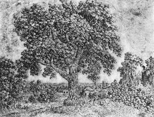 The Great Tree Oil painting by Hercules Seghers