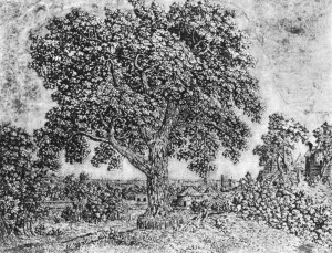 The Great Tree Oil painting by Hercules Seghers