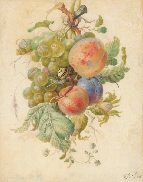 Main Product Photo of Festoen van vruchten  Painting by Herman Henstenburgh