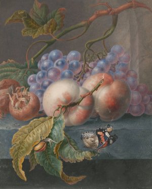 Fruits With A Butterfly And A Snail by Herman Henstenburgh Oil Painting