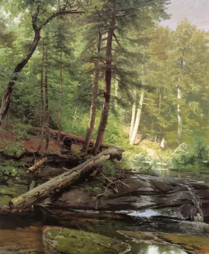 A Bear Approaching a Forest Stream