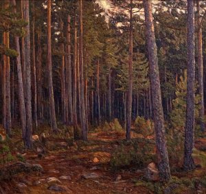 Interior of a Coniferous Forest by Herman Norrman Oil Painting