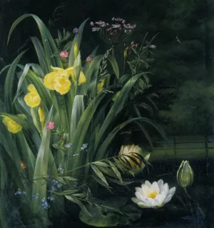 Lily Pond by Hermania Sigvardine Neergaard - Oil Painting Reproduction