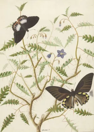 Een bloesemende struik met twee uitheemse vlinders by Hermanus De Wit Oil Painting