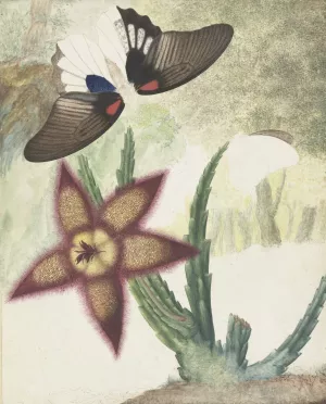 Twee vlinders en een vijfbladige geel-paarse bloem Oil painting by Hermanus De Wit