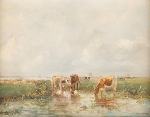 Cows in shallow by Hermanus Gerhardus Wolbers Oil Painting