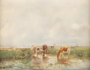 Cows in shallow by Hermanus Gerhardus Wolbers Oil Painting