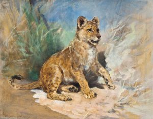 A Lion Cub by Heywood Hardy Oil Painting