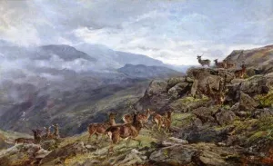 Deer in the Mountains