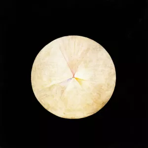 Series SUW, No 14 Swan by Hilma Af Klint Oil Painting