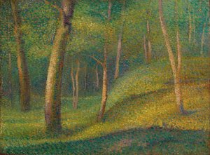 Sous-Bois by Hippolyte Petitjean Oil Painting