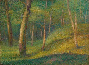 Sous-Bois by Hippolyte Petitjean Oil Painting