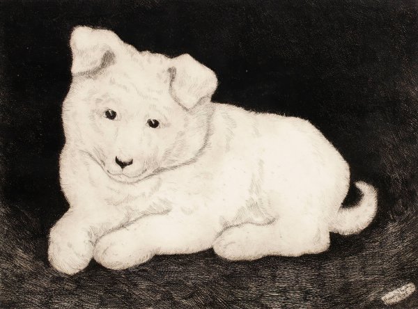 Main Product Photo of Sneggie, White Puppy  Painting by Hjalmar Hagelstam