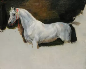 Study of a White Horse by Horace Vernet Oil Painting