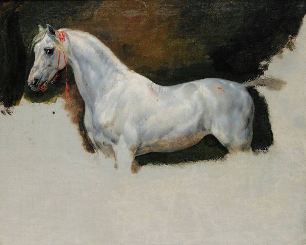 Main Product Photo of Study of a White Horse Painting by Horace Vernet