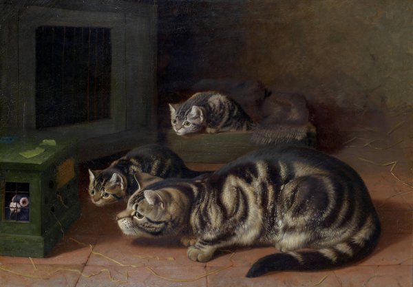 Curiosity by Horatio Henry Couldery - Hand-Painted Oil Painting Reproduction