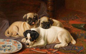Dinner, Two Pugs And A Terrier by Horatio Henry Couldery Oil Painting