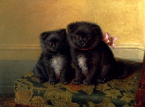 Two Chow Pups Seated on a Chair in an Interior