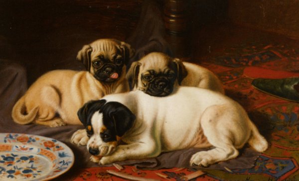 Main Product Photo of Two Pugs and a Terrier Painting by Horatio Henry Couldery