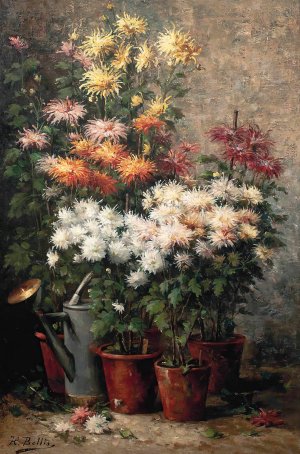 Chrysanthemums by Hubert Bellis Oil Painting