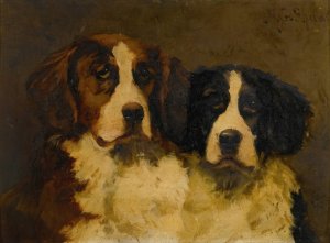 Study of Two St. Bernards by Hugh George Shaw Oil Painting
