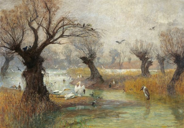 Main Product Photo of Pelikane am Flussufer Painting by Hugo Charlemont