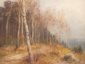 Birch forest by Hugo Muhlig Oil Painting