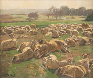 Sheep by Hugo Muhlig Oil Painting