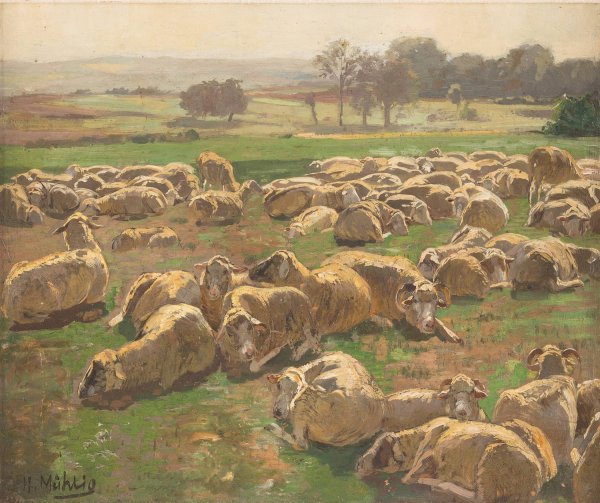 Main Product Photo of Sheep Painting by Hugo Muhlig