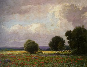 The Poppy Field