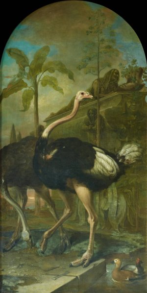 Ein Strausenpaar, im Hintergrund ein Sarkophag by Ignaz Heinitz Von Heinzenthal Oil Painting