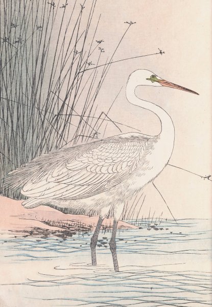 Keinen kacho gafu, Pl.01  by Imao Keinen - Hand-Painted Oil Painting Reproduction