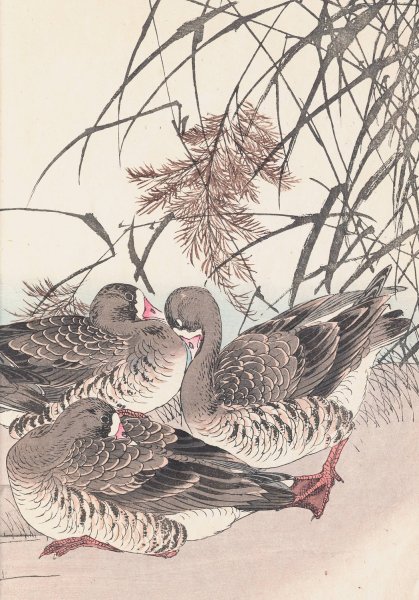 Keinen kacho gafu, Pl.04  by Imao Keinen - Hand-Painted Oil Painting Reproduction