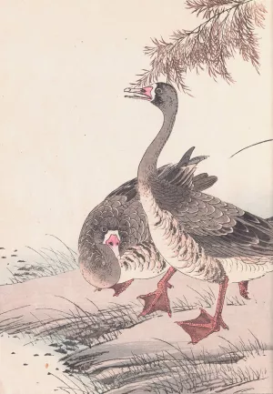 Keinen kacho gafu, Pl.05 by Imao Keinen Oil Painting