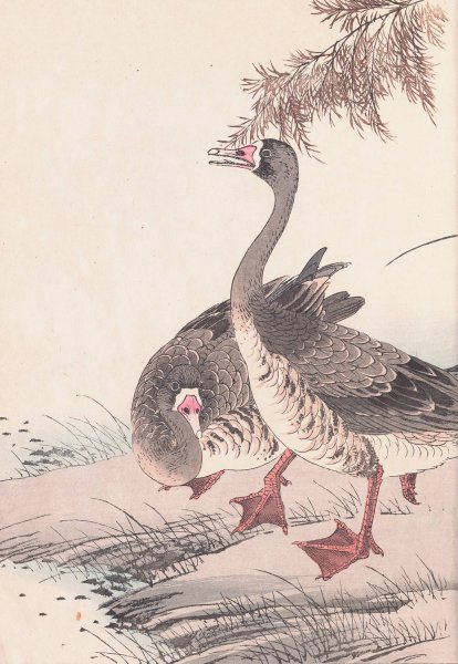 Keinen kacho gafu, Pl.05  by Imao Keinen - Hand-Painted Oil Painting Reproduction