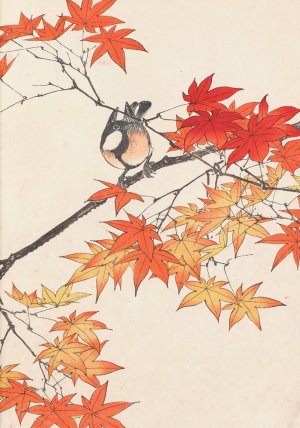 Keinen kacho gafu, Pl.06 by Imao Keinen Oil Painting
