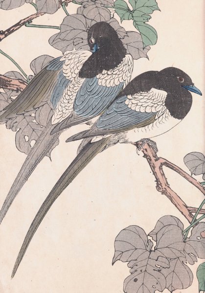 Keinen kacho gafu, Pl.07  by Imao Keinen - Hand-Painted Oil Painting Reproduction