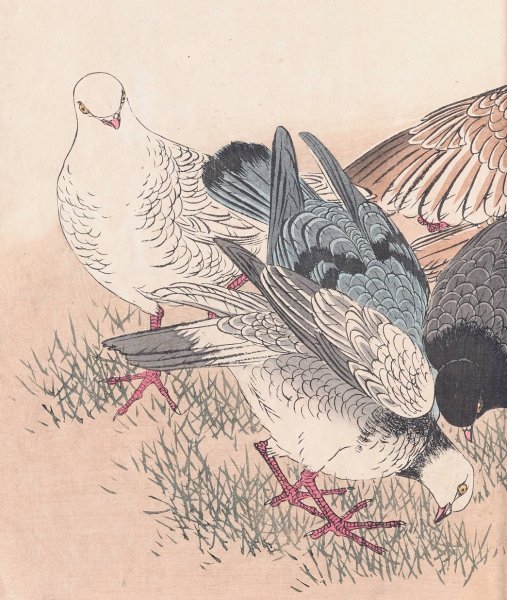 Keinen kacho gafu, Pl.09  by Imao Keinen - Hand-Painted Oil Painting Reproduction