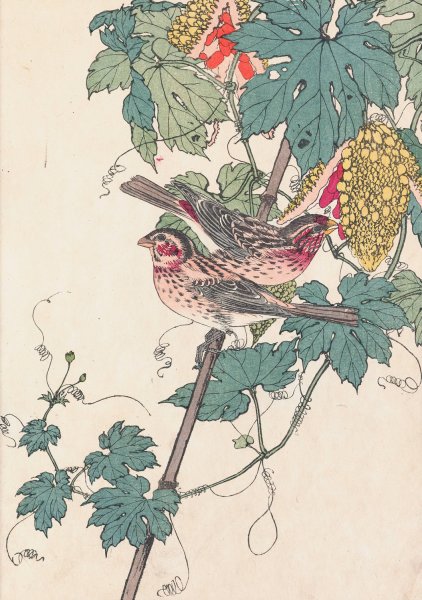 Keinen kacho gafu, Pl.10  by Imao Keinen - Hand-Painted Oil Painting Reproduction