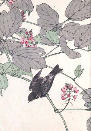 Keinen kacho gafu, Pl.11 by Imao Keinen Oil Painting