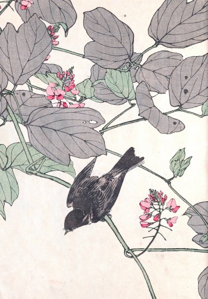 Keinen kacho gafu, Pl.11  by Imao Keinen - Hand-Painted Oil Painting Reproduction
