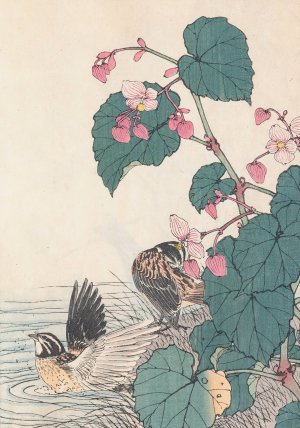 Keinen kacho gafu, Pl.12 by Imao Keinen Oil Painting