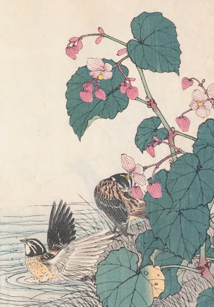 Keinen kacho gafu, Pl.12  by Imao Keinen - Hand-Painted Oil Painting Reproduction