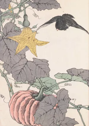 Keinen kacho gafu, Pl.13 by Imao Keinen Oil Painting
