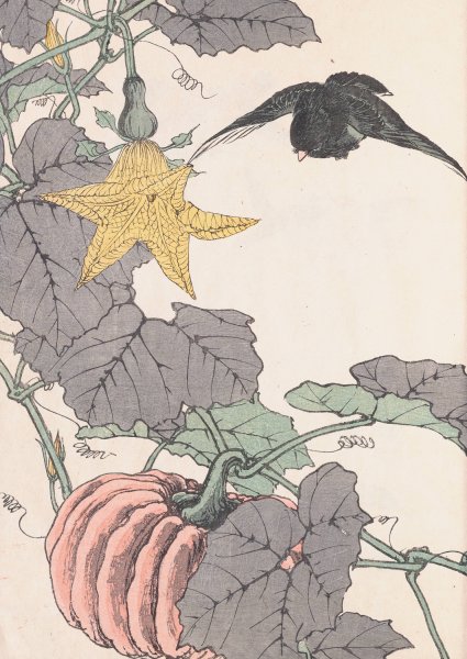 Keinen kacho gafu, Pl.13  by Imao Keinen - Hand-Painted Oil Painting Reproduction