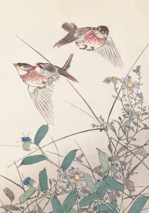 Keinen kacho gafu, Pl.14 by Imao Keinen Oil Painting