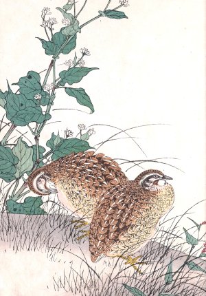 Keinen kacho gafu, Pl.15 by Imao Keinen Oil Painting
