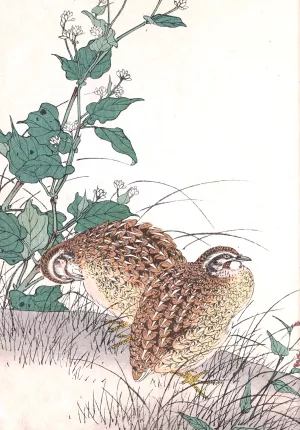 Keinen kacho gafu, Pl.15 Oil painting by Imao Keinen