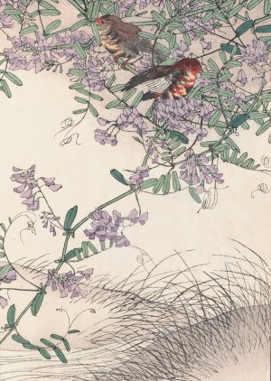 Keinen kacho gafu, Pl.16 by Imao Keinen Oil Painting